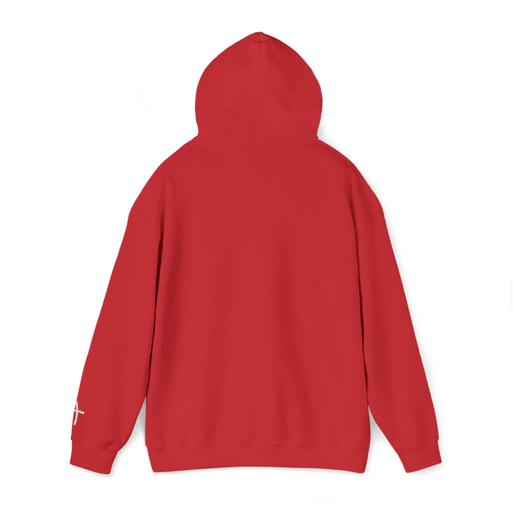 Unisex - GOD IS GOOD - Hoodie