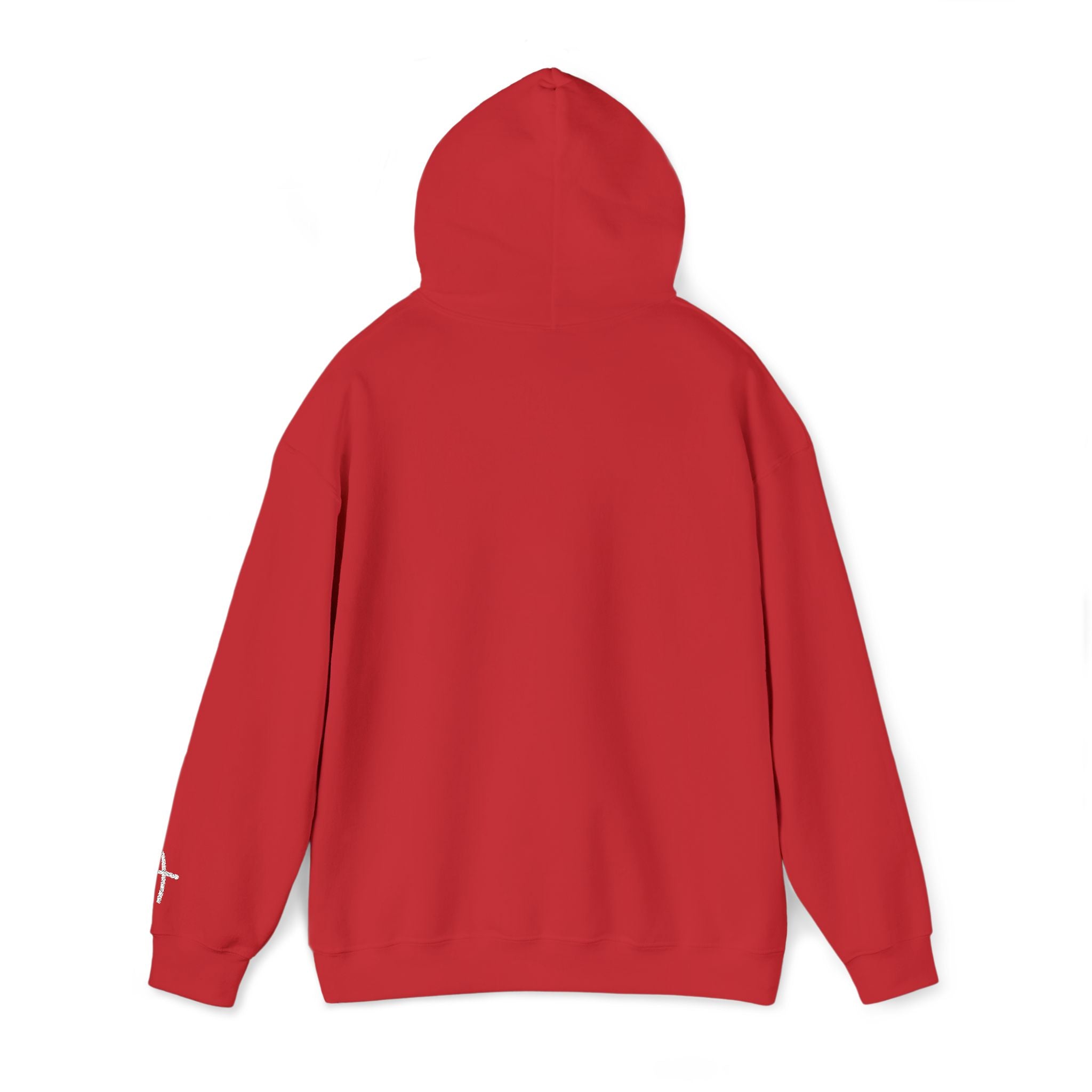 Unisex - GOD IS GOOD - Hoodie